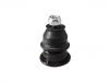 Joint de suspension Ball Joint:54430-2J100